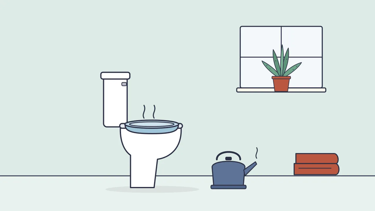A sitz bath basin fitted on a toilet seat next to a kettle, a folded towel and a small potted aloe plant on the windowsill