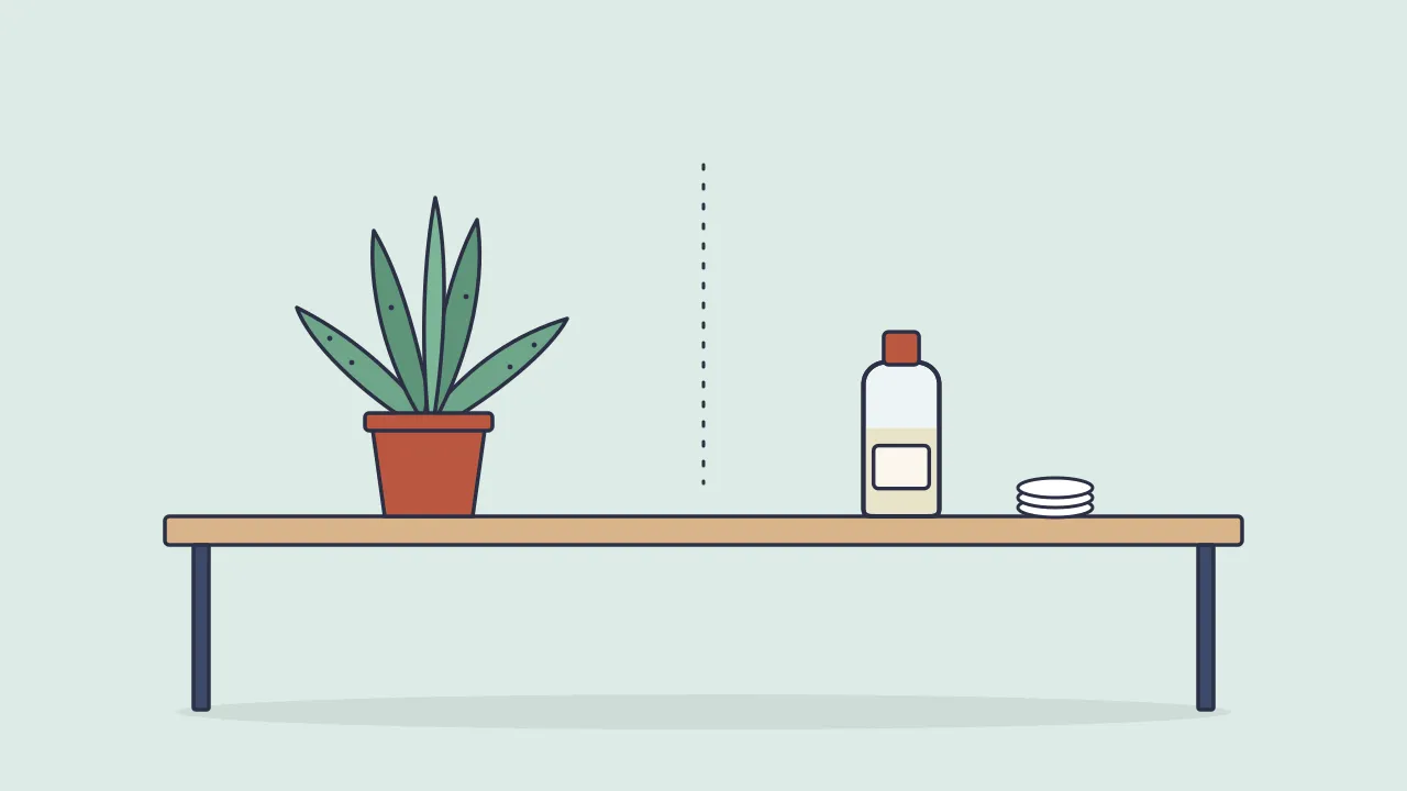 A potted aloe vera plant on one side of a table and a clear bottle of witch hazel with a stack of cotton pads on the other